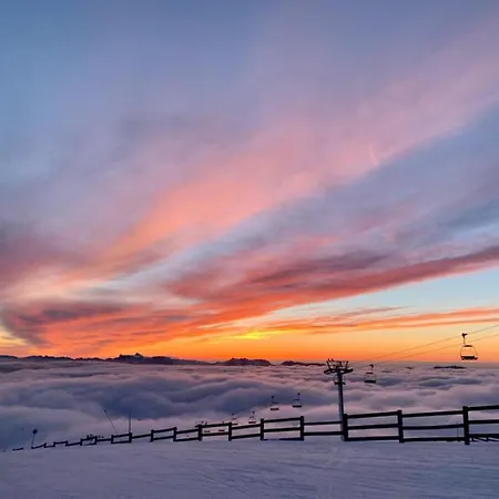Le Tetras Lyre Les Balcons De Recoin Chamrousse